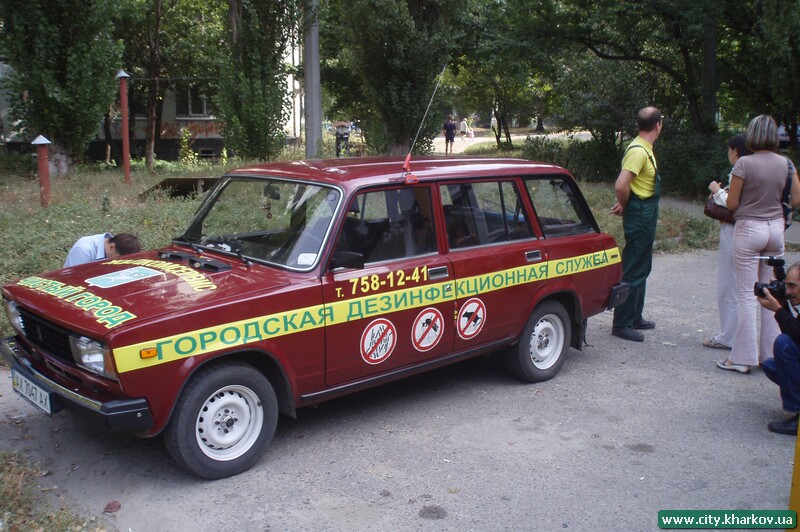 Щури полюбляють сміття, а помирають від зерна - 1