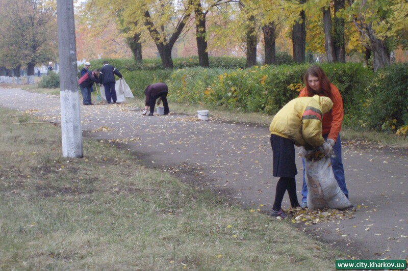 Вулиця Світла стає чистішою