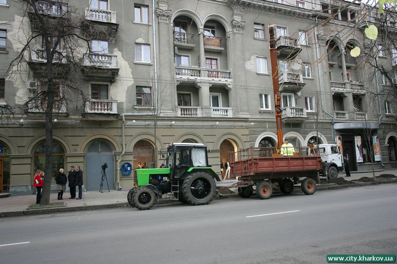 На вул. Сумській висаджують липи