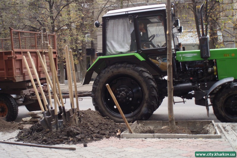 Посадка дерев