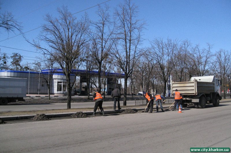 Дороги і дощеприймальні колодязі планується повністю очистити від змету і сміття протягом двох місяців