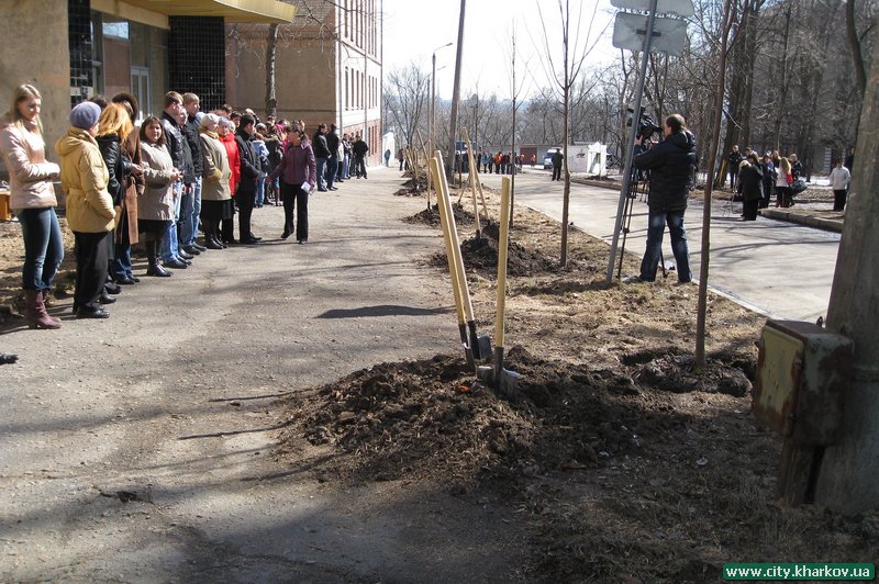 На вулиці Лермонтовській з`явилася Алея Слави
