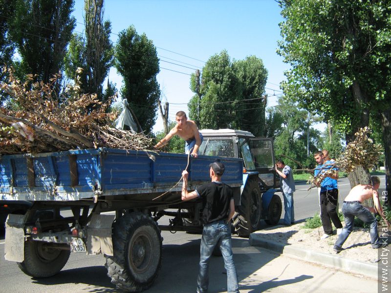 З Комінтернівського району вивезено 280 куб.м дерев, що були повалені під час стихії