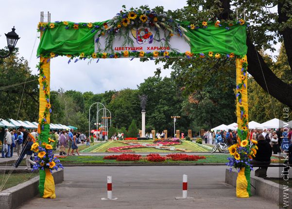 У саду Шевченка відкрилася квіткова виставка - 1