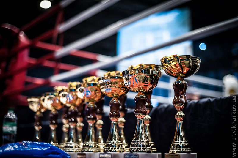 У Харкові пройшов турнір на Кубок Президента України «Битви чемпіонів» - 34