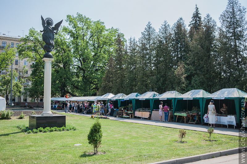 У саду імені Шевченка відкрилася виставка квітів - 1