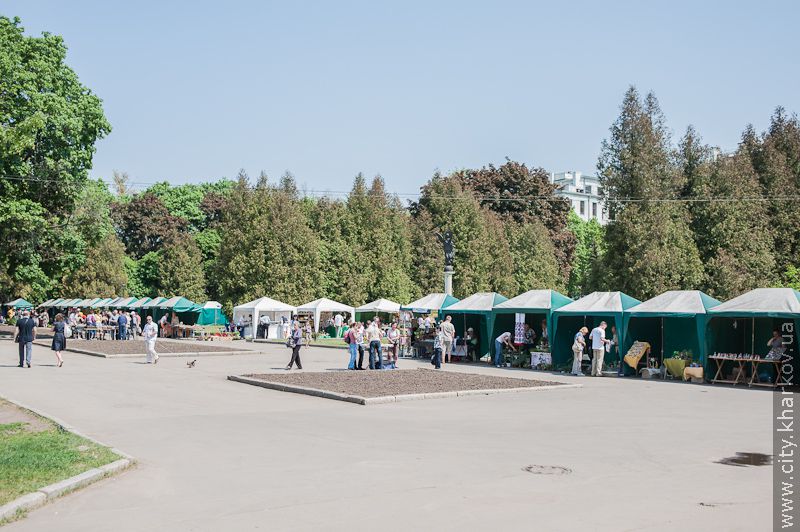 У саду імені Шевченка відкрилася виставка квітів - 9