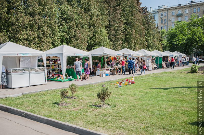 У саду імені Шевченка відкрилася виставка квітів - 10