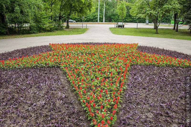 На Університетському пагорбі відкрили євроклумбу - 3