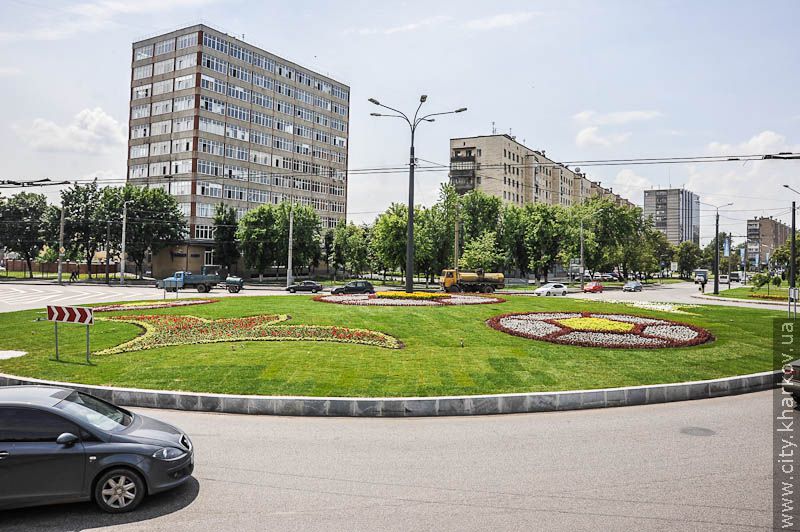 На Університетському пагорбі відкрили євроклумбу - 9