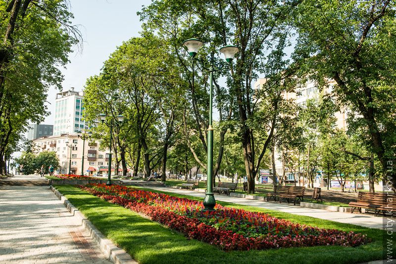 У Харкові масово реконструюють парки та сквери