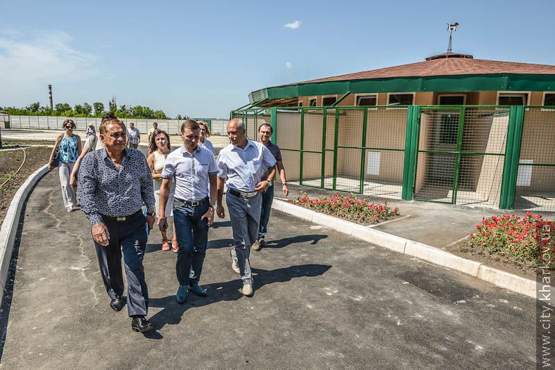 Притулок для тварин чекає розширення - 19