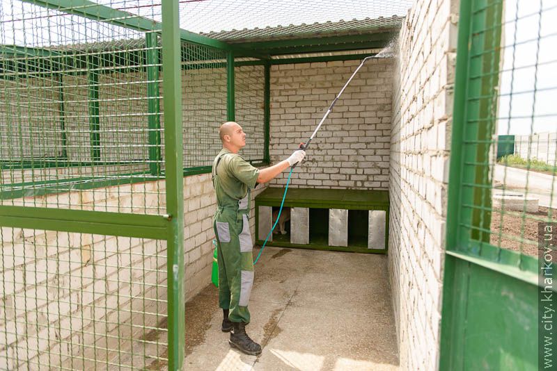 З'їзд зоозахисників в харківському притулку для тварин - 33