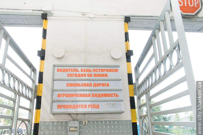 Маршрутні автобуси та їх водії щодня проходять ретельний огляд - 3