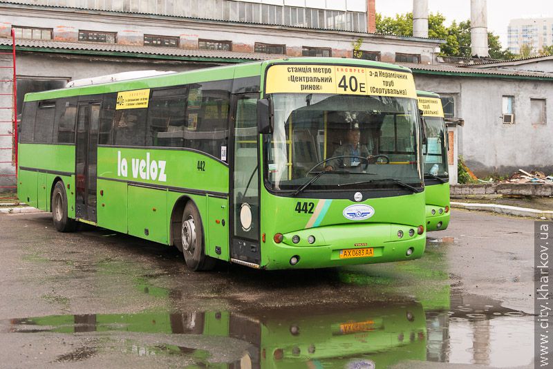 Маршрутні автобуси та їх водії щодня проходять ретельний огляд - 31