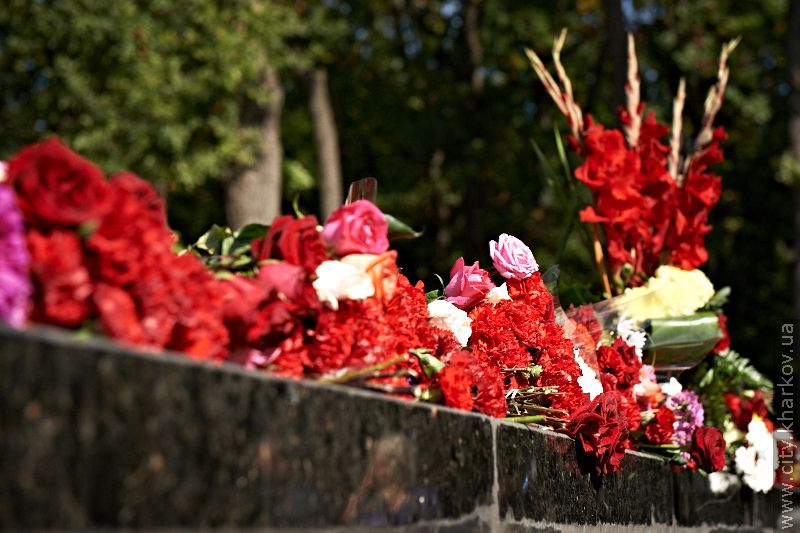 На меморіалі у Лісопарку поклали квіти з нагоди Дня партизанської слави - 12
