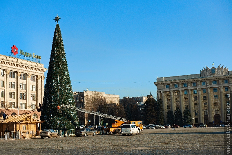 Цього року головна ялинка міста світитиме ще яскравіше - 2