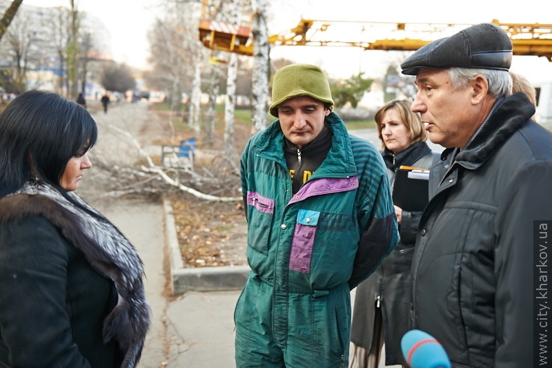 Замість спиляних беріз на Салтівці висадять 50 нових дерев - 6