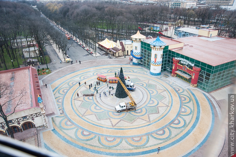 У парку імені Горького встановлюють новорічну ялинку - 4