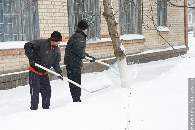 У Центрі реінтеграції безпритульних громадян щодня приймають до 80 чоловік - 2