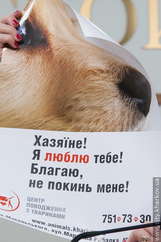 Прес-конференція на тему: «Що таке справжня жорстокість по відношенню до тварин?» - 4