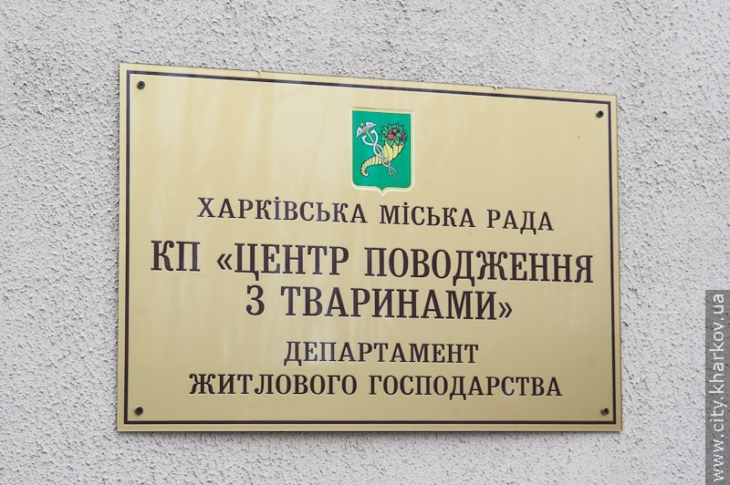 Відвідування притулку для тварин