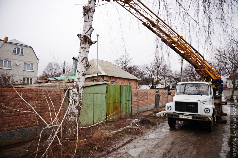 У приватному секторі Комінтернівського району зносять аварійні дерева - 3