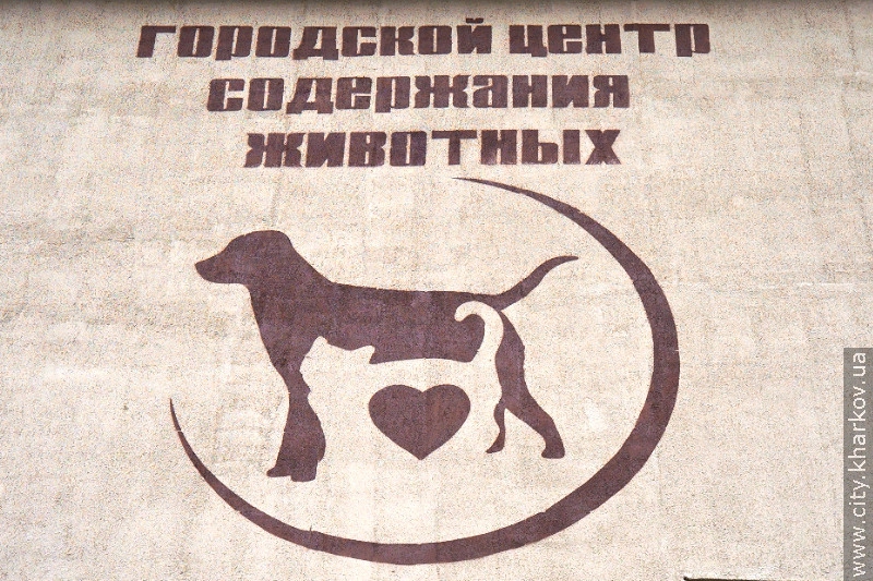Нікополь переймає досвід Харкова у створенні притулку для тварин