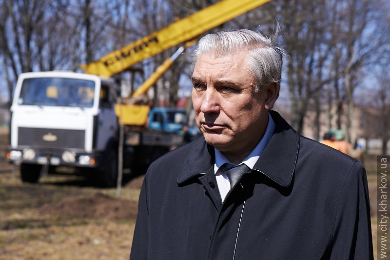 Молодіжний парк прикрашатимуть червоні дуби і липи