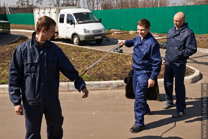 Британські експерти проведуть майстер-класи з вилову бродячих тварин