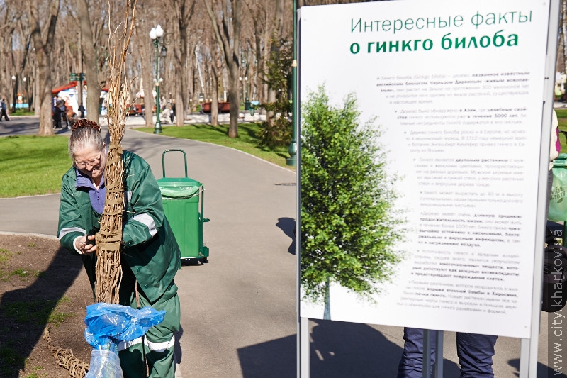 У Харкові висадили унікальні дерева