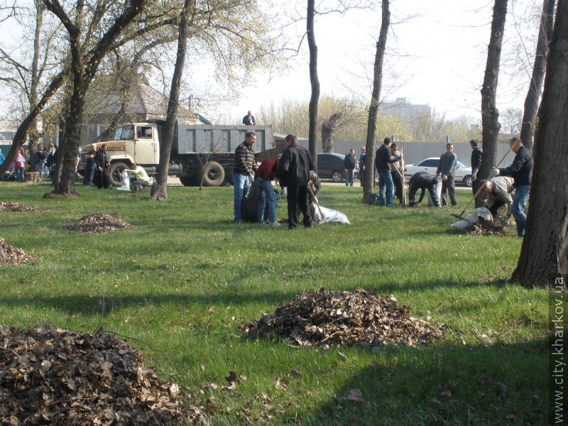 У суботнику в Київському районі взяли участь 12,5 тисячі чоловік - 1