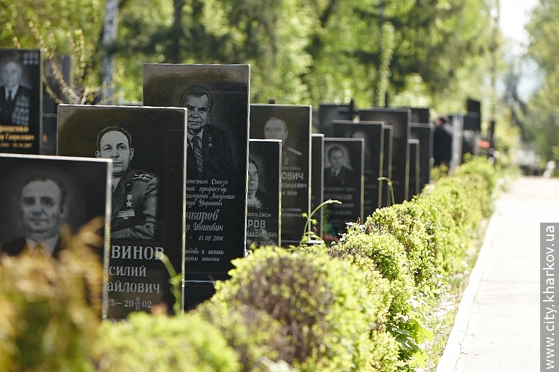На міських кладовищах висадили майже 2 тисячі квітів - 4