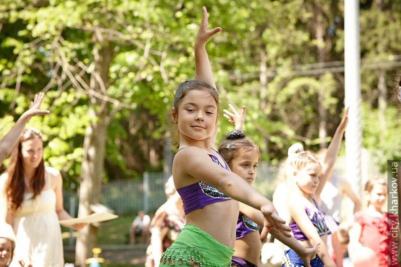 Свято «День сім'ї» пройшло у Саржиному яру - 6
