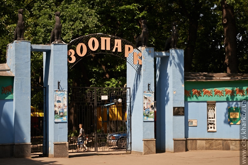 Влітку в зоопарку продовжать будівництво Будинку жирафів