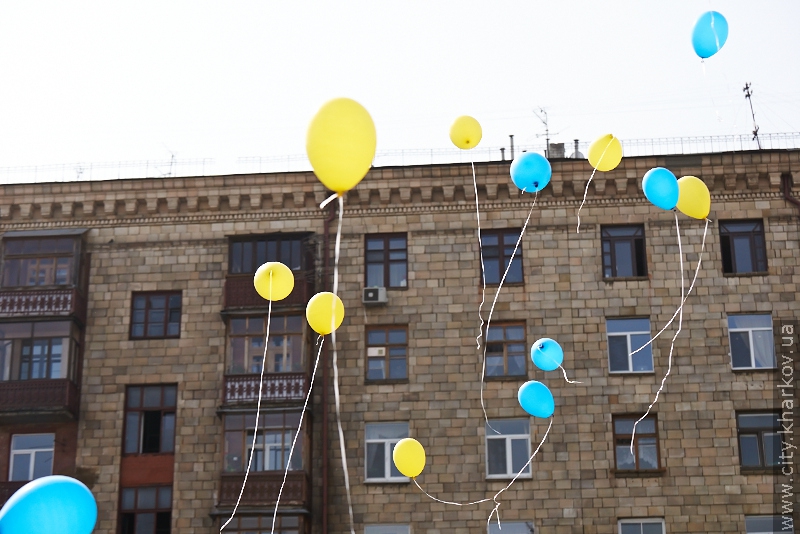 10 тисяч чоловік прийшли на площу Рози Люксембург підтримати «Металіст» - 20