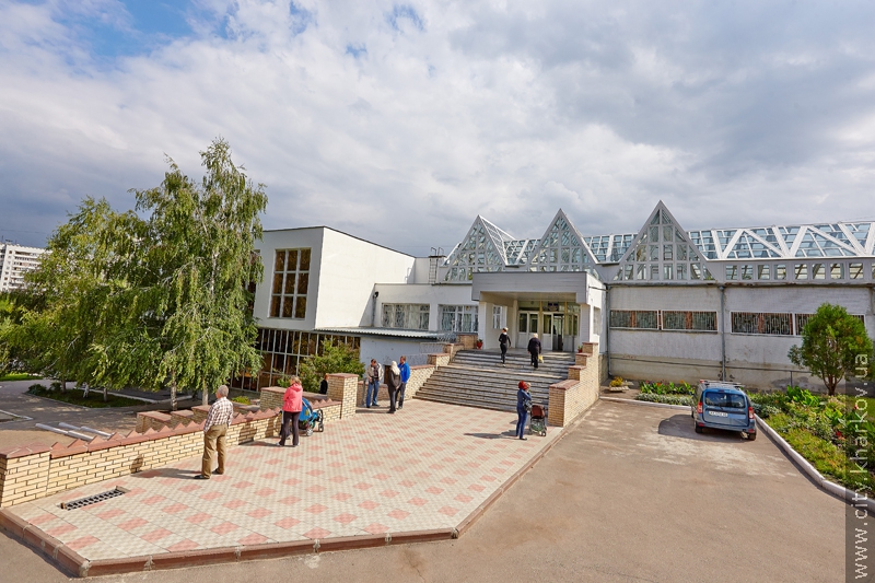 Показовий урок фізкультури у харківській гімназії №172 - 2