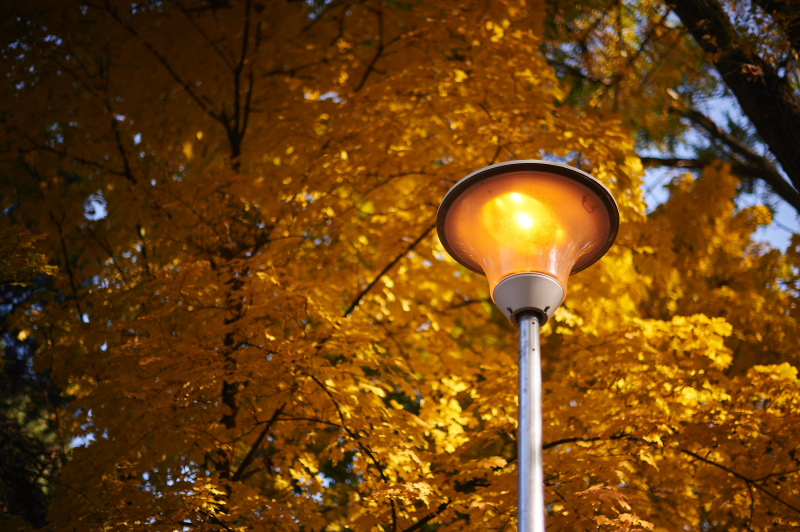 У сквері «Соснова гірка» відремонтували сходи і провели освітлення 