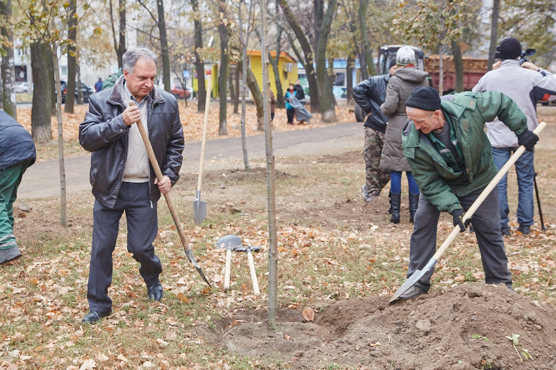 Цієї осені в Харкові висадили 700 дерев