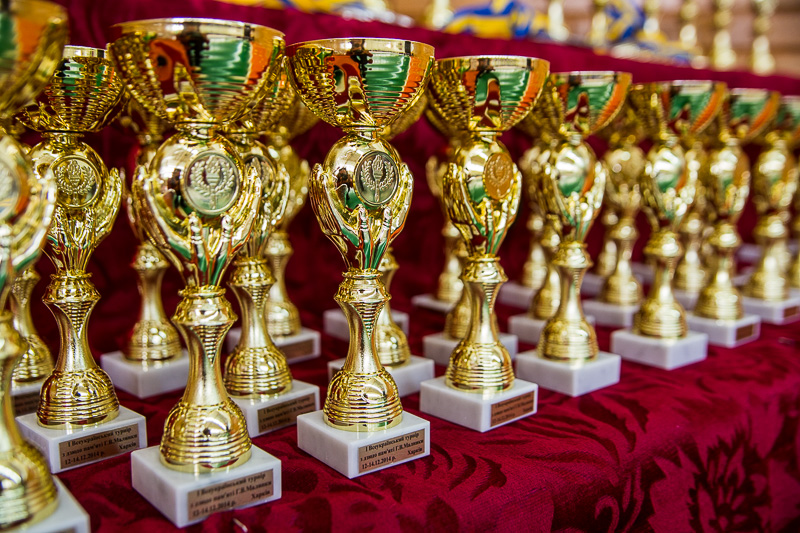 У місті проходить перший Всеукраїнський турнір з дзюдо пам'яті Григорія Малінка 