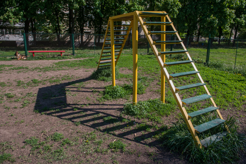 Майданчики для дресирування собак з'являться у всіх районах Харкова