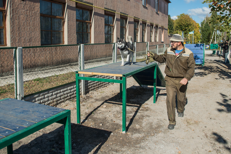 У міському притулку відкрили майданчик для тренування собак