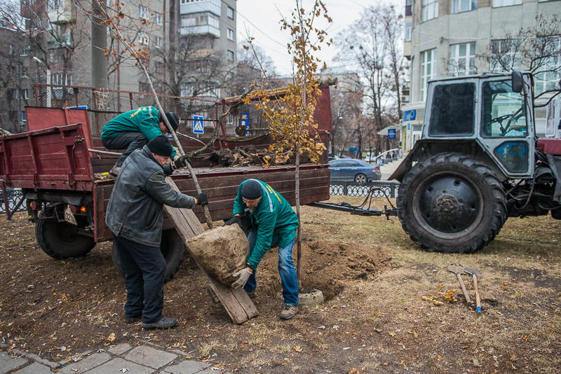 У Харкові завершується сезон посадки дерев