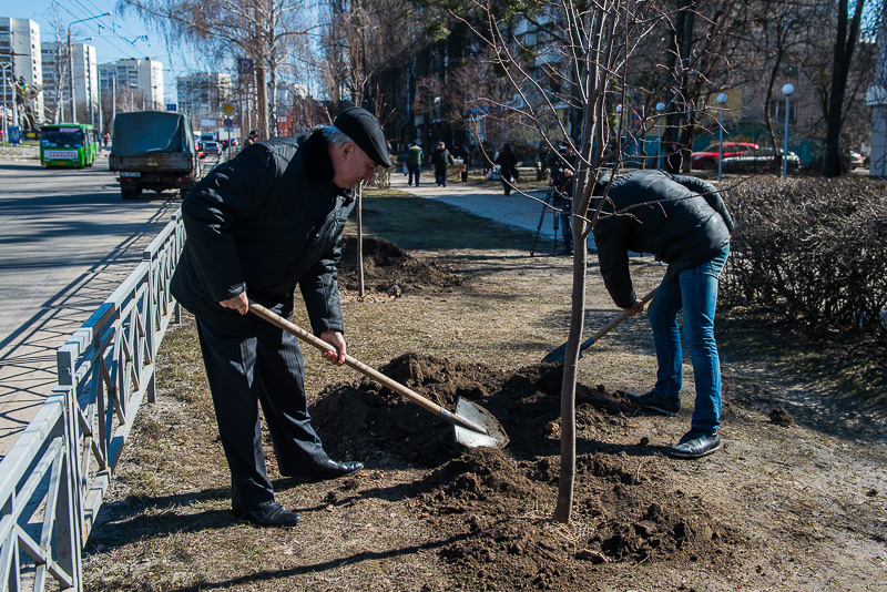 У Харкові почали висаджувати дерева