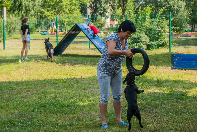 У Холодногірському районі з'явився перший майданчик для вигулу собак
