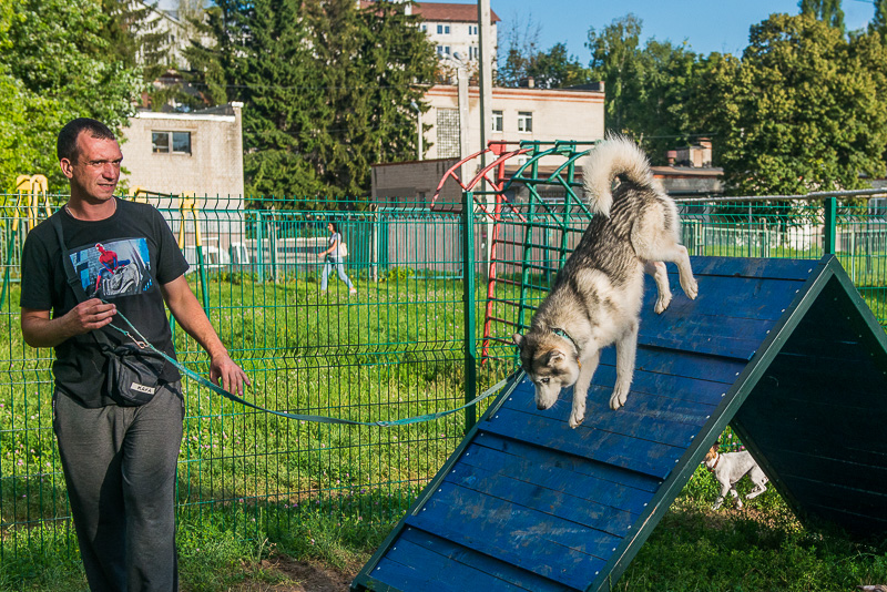 На вулиці Дерев'янка відкрили майданчик для вигулу собак