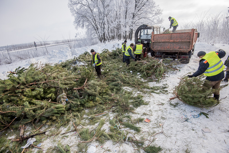 Харківські комунальники зайнялися утилізацією новорічних ялинок