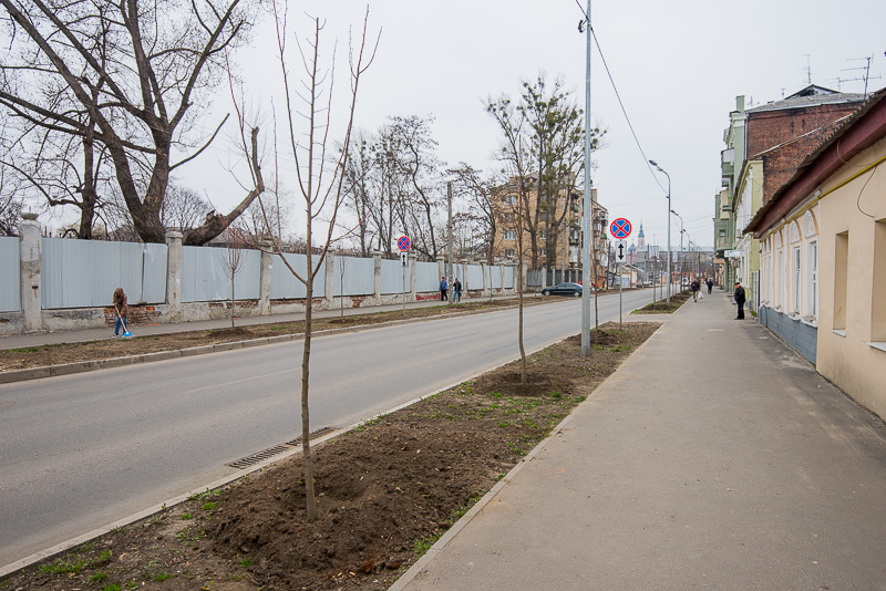 На вулиці Чоботарській посадили липи - 9