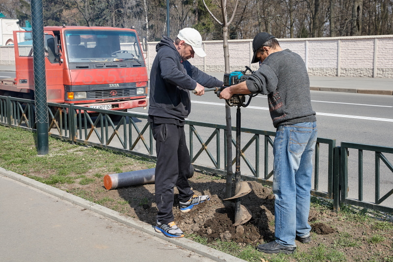 У Харкові впроваджують нову технологію поливу дерев - 2
