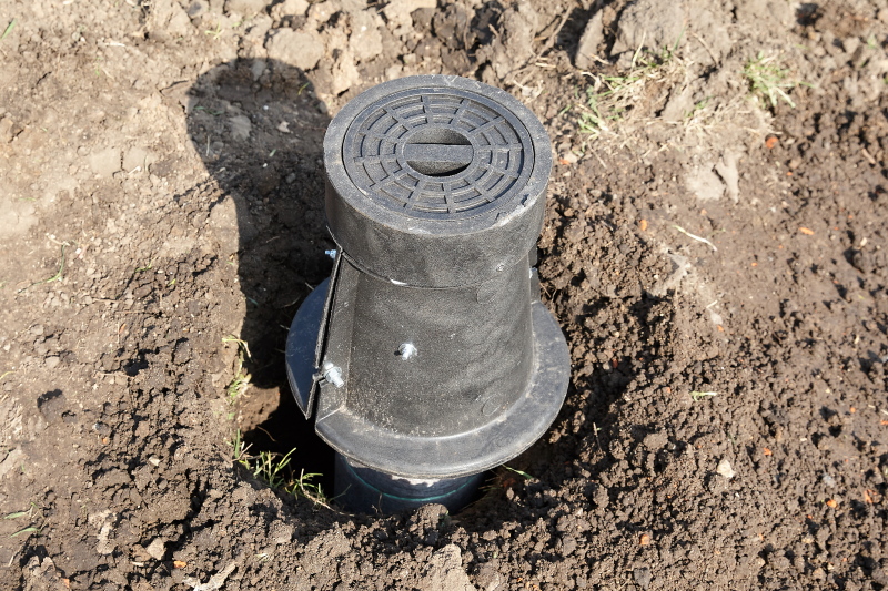 У Харкові впроваджують нову технологію поливу дерев - 6